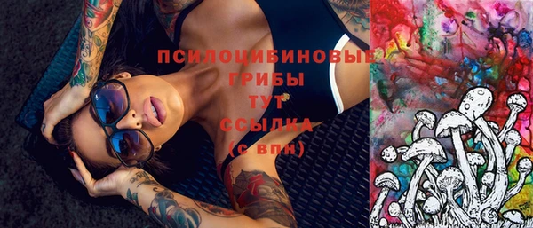 молекула духа Сосновоборск