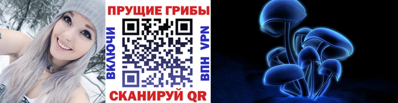 дарнет шоп  Давлеканово  Псилоцибиновые грибы Cubensis 